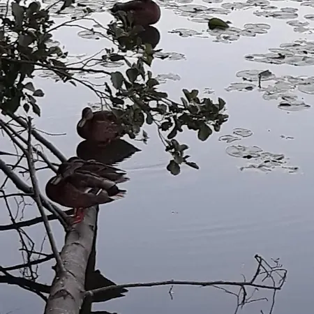 Fewo Seeblick *